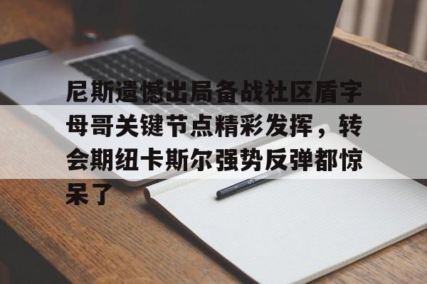 金年会官方-尼斯遗憾出局备战社区盾字母哥关键节点精彩发挥，转会期纽卡斯尔强势反弹都惊呆了的简单介绍
